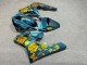 Purchase 2009-2012 Glossy Light Blue with Gold Roses Triumph Daytona 675 Triple Motorcycle Fairings UK