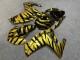 Purchase 2015-2018 Glossy Black Gold Zebra Yamaha R3/R25 Motorcycle Fairings UK