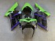 Purchase 2003-2004 Glossy Green Black Kawasaki ZX6R Motorcycle Fairings UK