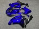 Purchase 2007-2008 Glossy Blue Black Flame Kawasaki ZX6R Motorcycle Fairings UK