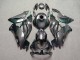 Purchase 2019-2022 Glossy Carbon Fiber Style with Green Kawasaki ZX6R Motorcycle Fairings UK