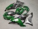 Purchase 2023-2026 Glossy Black Green Carbon Fiber Style Kawasaki ZX6R Motorcycle Fairings UK