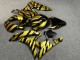 Purchase 2007-2008 Glossy Black Gold Zebra Honda CBR600RR Motorcycle Fairings UK
