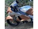 Purchase 1996-2007 Light Brown Silver Suzuki GSXR 1300 Hayabusa Motorcycle Fairings UK