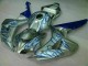 Purchase 2006-2007 Blue Flame Silver Honda CBR1000RR Motorcycle Fairing Kits UK Purchase 2006-2007 Blue Flame Silver Honda CBR1000RR Motorcycle Fairing Kits UK