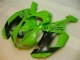 Purchase 2007-2008 Green Black Dunlop Kawasaki ZX6R Motorbike Fairing Kits UK Purchase 2007-2008 Green Black Dunlop Kawasaki ZX6R Motorbike Fairing Kits UK