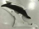 Purchase 2008-2016 White Yamaha YZF R6 Motorcycle Bodywork UK Purchase 2008-2016 White Yamaha YZF R6 Motorcycle Bodywork UK