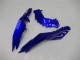 Purchase 2013-2024 Blue Black White Flame Kawasaki Ninja 300 EX300R Motorcycle Fairings UK